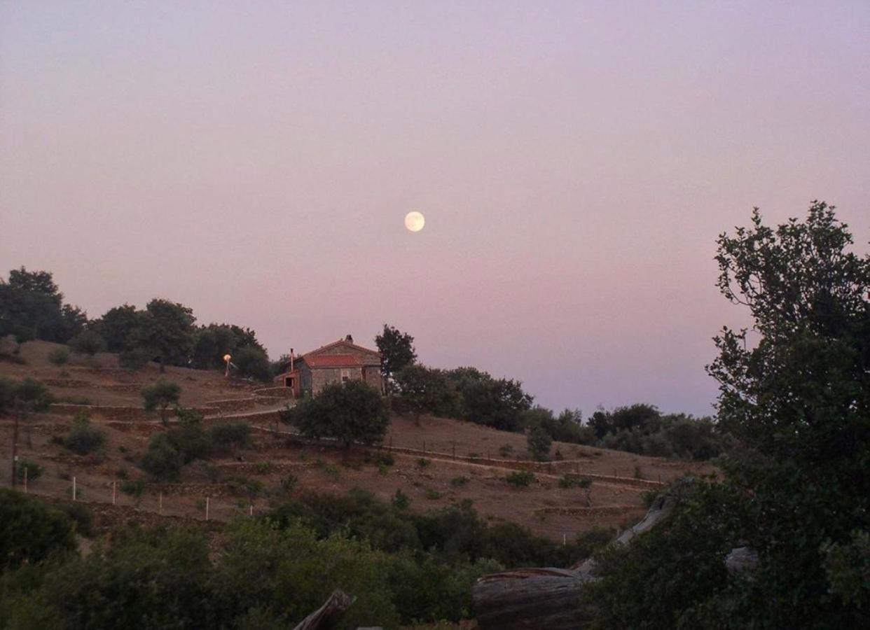 Toumba Eco Farm Guesthouses Plomari Exterior foto