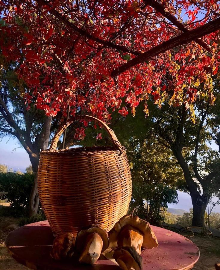 Toumba Eco Farm Guesthouses Plomari Exterior foto
