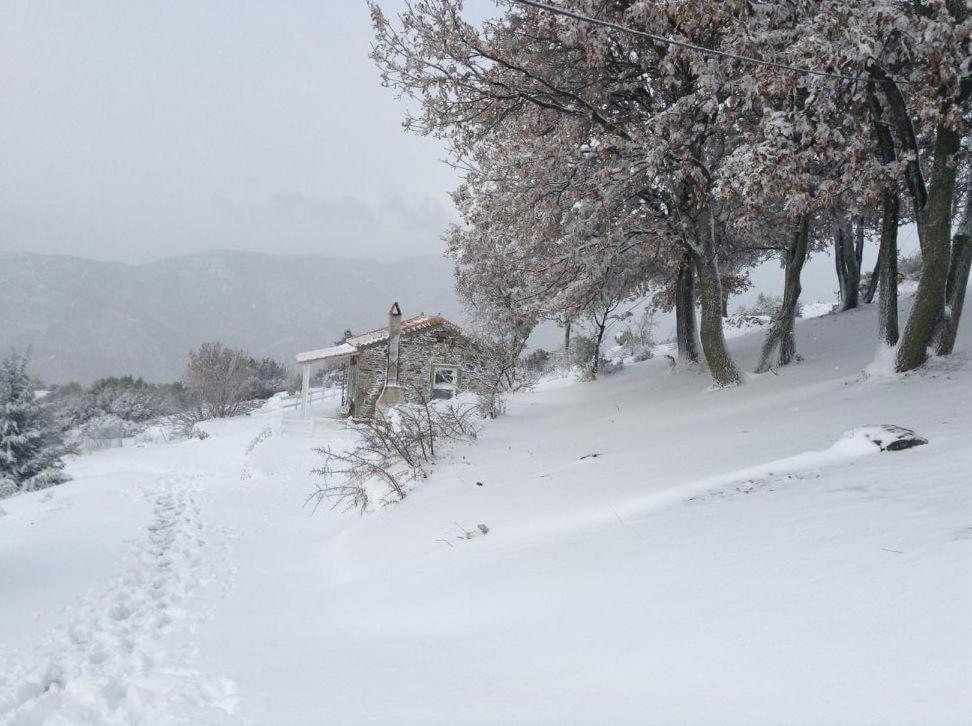Toumba Eco Farm Guesthouses Plomari Exterior foto
