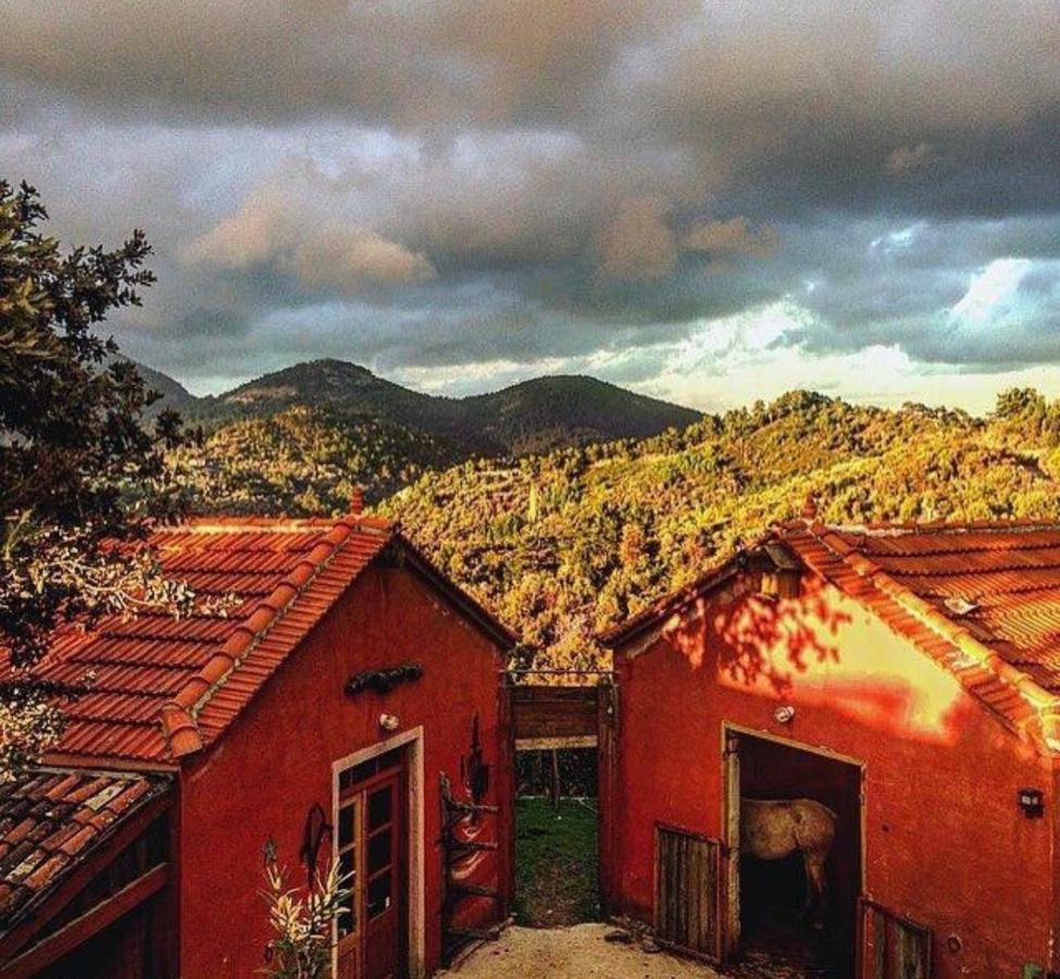 Toumba Eco Farm Guesthouses Plomari Exterior foto