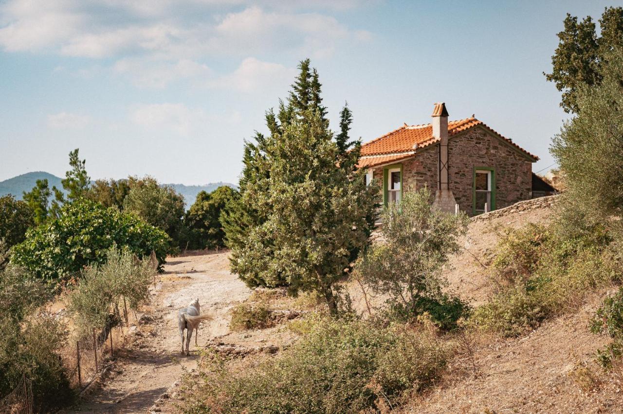 Toumba Eco Farm Guesthouses Plomari Exterior foto