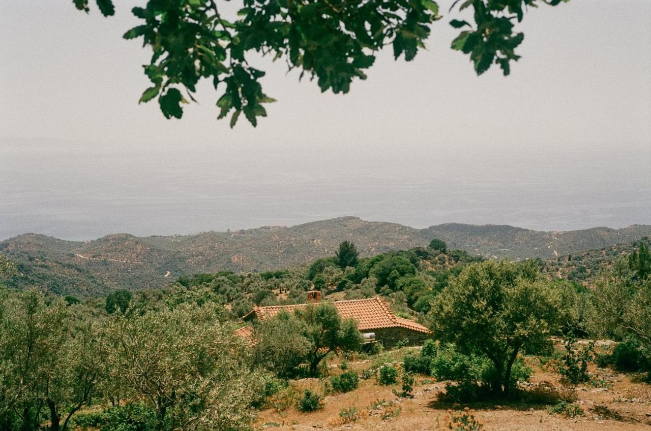 Toumba Eco Farm Guesthouses Plomari Exterior foto